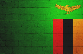 Zambian Flag